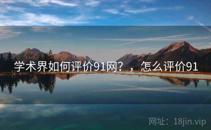 学术界如何评价91网？，怎么评价91