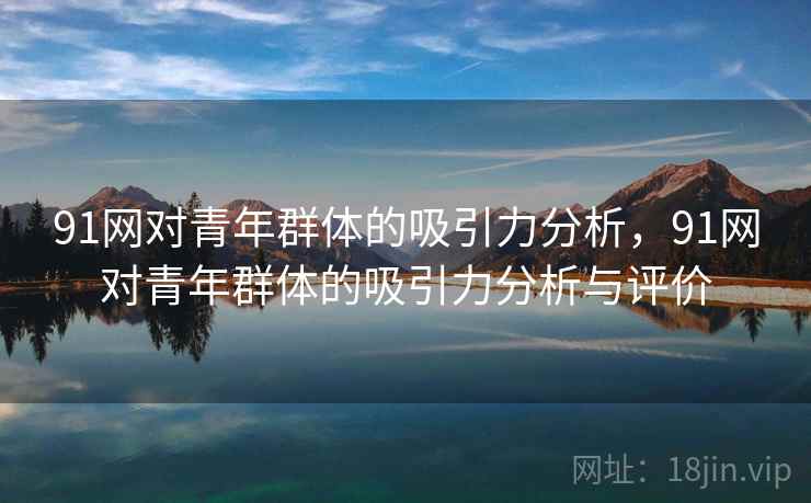 91网对青年群体的吸引力分析，91网对青年群体的吸引力分析与评价