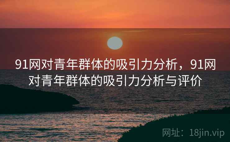 91网对青年群体的吸引力分析，91网对青年群体的吸引力分析与评价