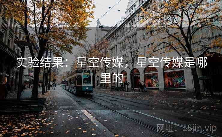 实验结果：星空传媒，星空传媒是哪里的  第2张
