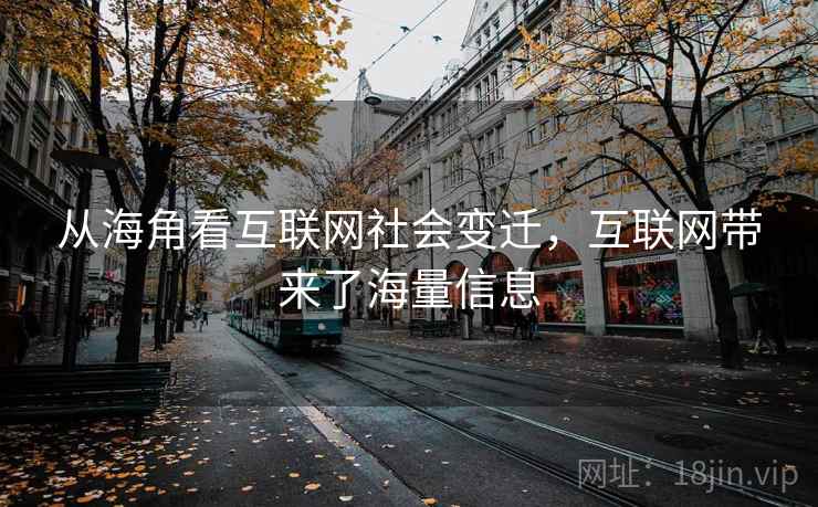 从海角看互联网社会变迁，互联网带来了海量信息