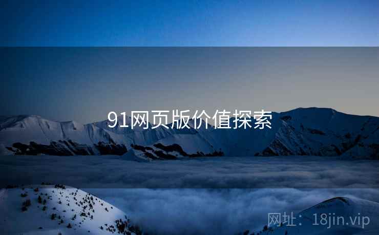91网页版价值探索