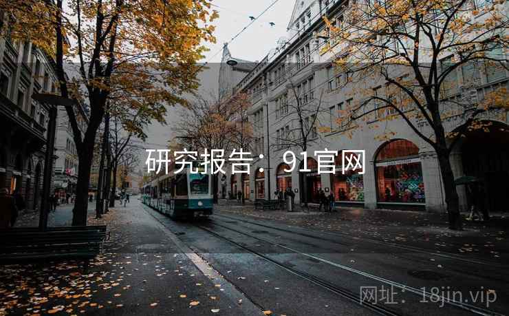 研究报告：91官网