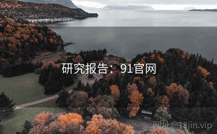 研究报告：91官网