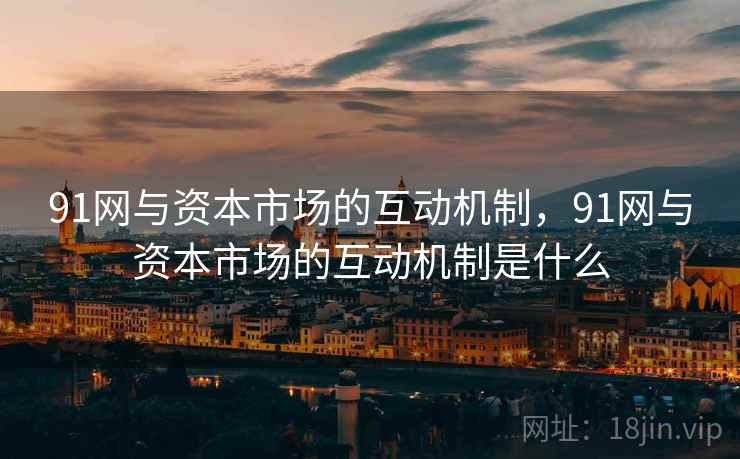 91网与资本市场的互动机制，91网与资本市场的互动机制是什么
