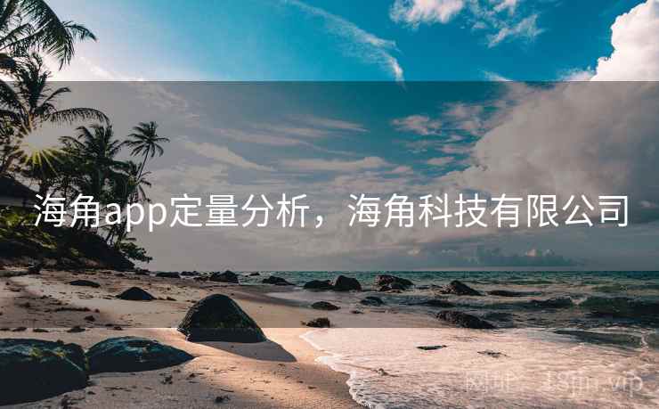 海角app定量分析，海角科技有限公司