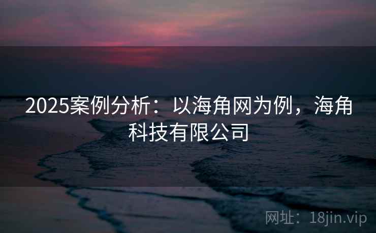 2025案例分析:以海角网为例,海角科技有限公司