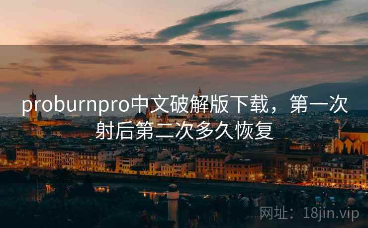 proburnpro中文破解版下载，第一次射后第二次多久恢复