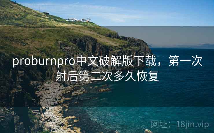 proburnpro中文破解版下载，第一次射后第二次多久恢复