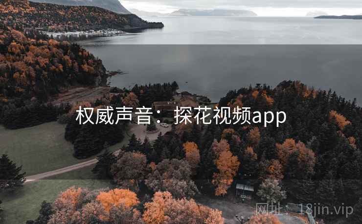 权威声音:探花视频app