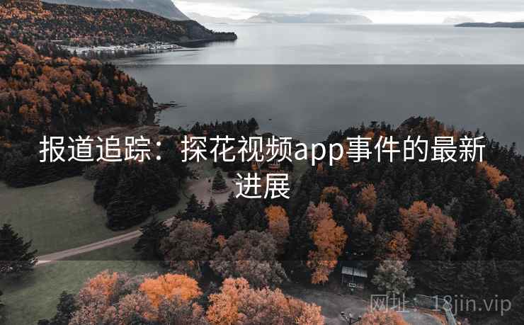 报道追踪：探花视频app事件的最新进展
